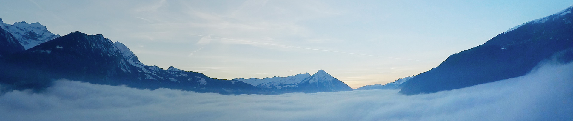 йyl23455(ɷ)޹˾-ٷվ