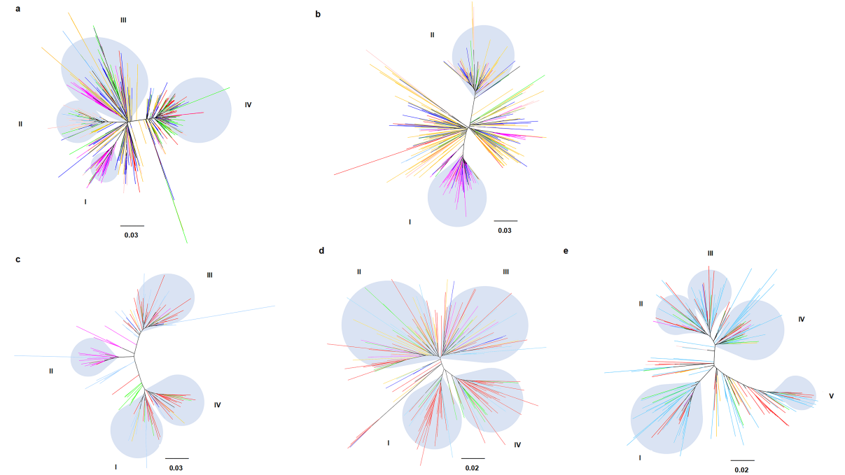 1691740531746589.png ͼƬ 3.png