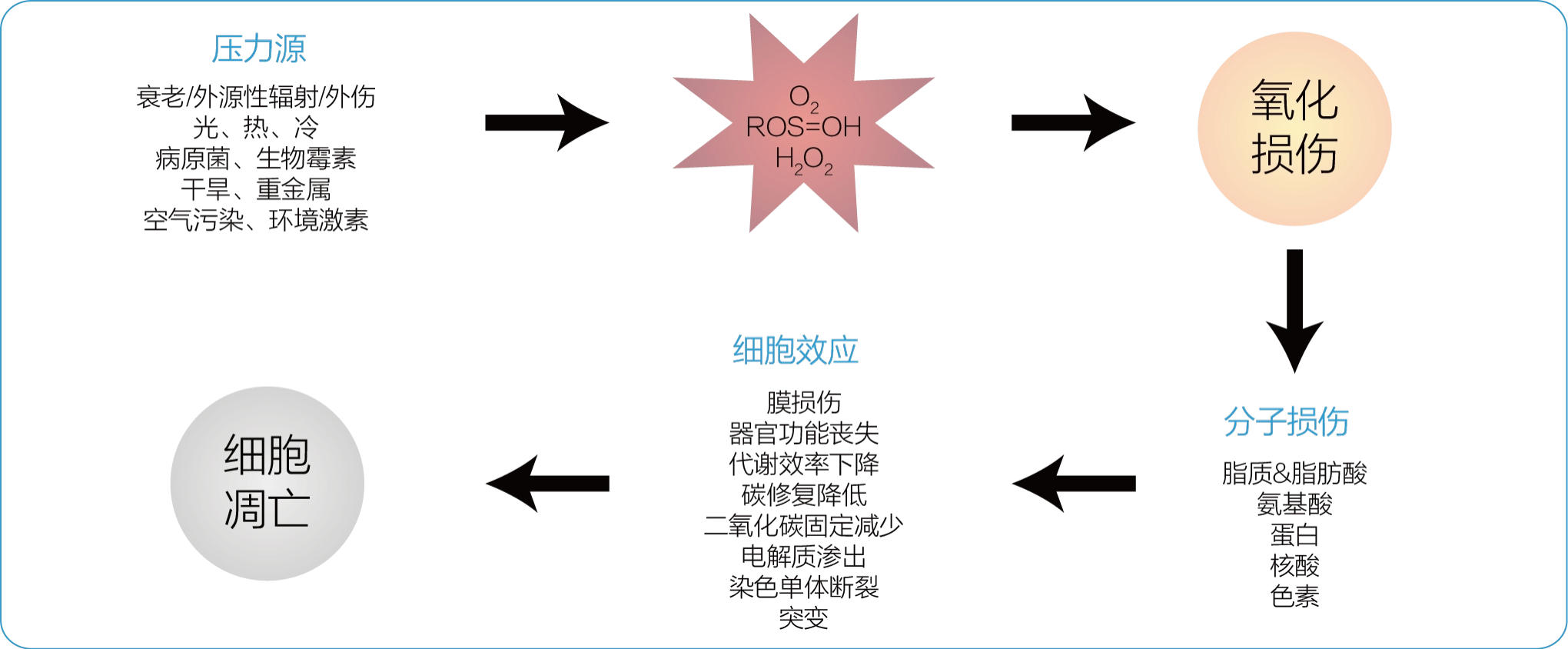 1692696644741196.png ͼƬ 3.png