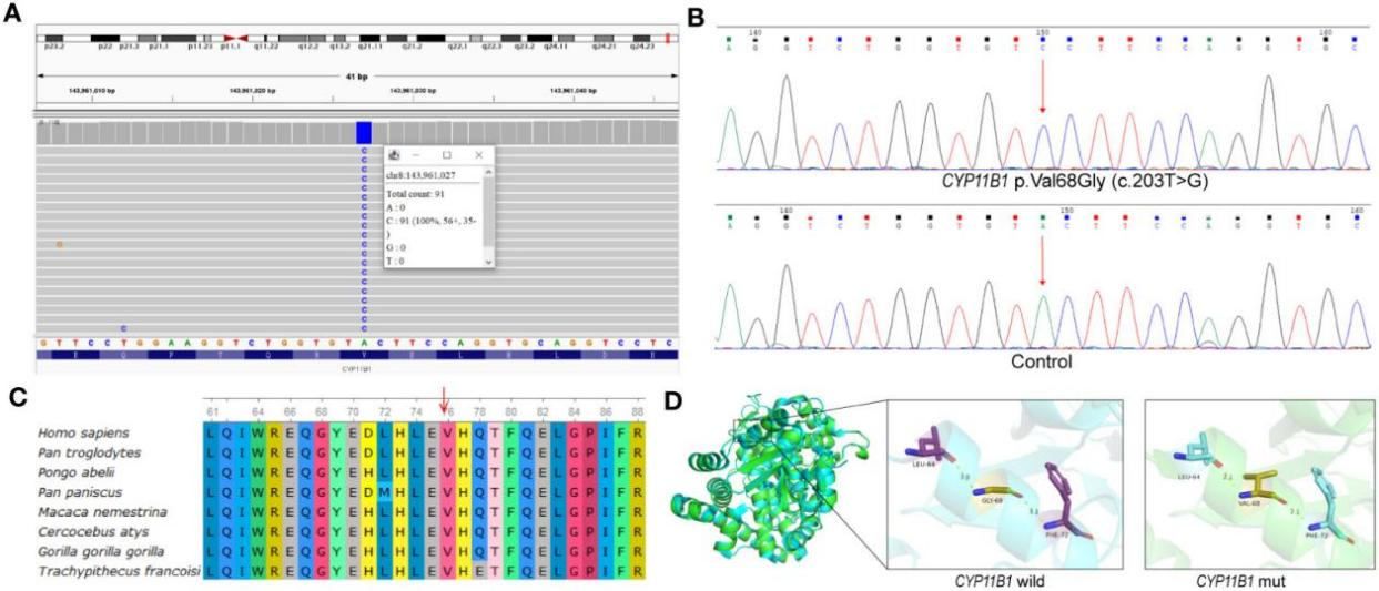1702517132275294.png 图片 3.png