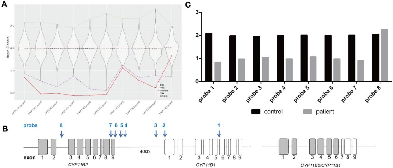 1702517170164212.png 图片 4.png